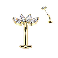 Titanium Threadless Floating Convex Base 4 Marquise CZ Fan Top Belly Button Ring