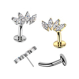 Titanium Threadless Floating Convex Base 4 Marquise CZ Fan Top Belly Button Ring
