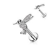 CZ Pave hummingbird Top Labret Tragus Snug Ear Cartilage Helix Studs