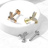 CZ Pave hummingbird Top Labret Tragus Snug Ear Cartilage Helix Studs