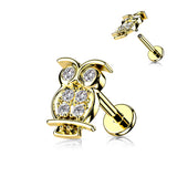 CZ Pave Owl Top Labret Tragus Snug Ear Cartilage Helix Studs