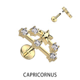 Gold Plated CZ Zodiac Constellation Labret Tragus Helix Ear Cartilage Studs