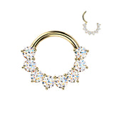 Titanium Hinged Facing Prong Moissanite Segment Hoop Ring Daith Septum Cartilage