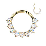 Titanium Hinged Facing Prong Moissanite Segment Hoop Ring Daith Septum Cartilage
