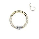 Titanium Hinged Facing Pave Moissanite Segment Hoop Ring Daith Septum Cartilage