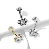 5 CZ Butterfly and Ball Cluster Internally Threaded CZ Belly Button Ring