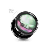 Pair Multi Color Shell Black Steel Screw Fit Flesh Tunnels Plugs