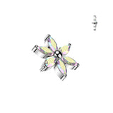 Titanium Internally Threaded Dermal Anchor Top 6 Marquise CZ Flower Tragus