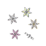 Titanium Internally Threaded Dermal Anchor Top 6 Marquise CZ Flower Tragus