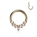 High Quality Precision CZ Leaves Hinge Hoop Segment Ring Nose Septum