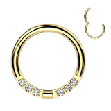 Facing 3 CNC Set CZ Hinged Segment Ring Nose Septum Ear Cartilage Tragus