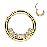 High Precision CNC Set Lined CZ Segment Hoop Ring Nose Septum Ear Cartilage