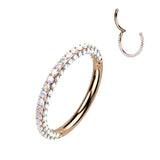 Titanium Hinged Segment Hoop Ring 3 Paved CZ For Nose Septum Cartilage