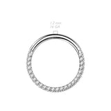 Titanium Hinged Segment Hoop Ring 3 Paved CZ For Nose Septum Cartilage