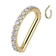 Titanium CZ D Shaped Hinged Segment Ring, Lip, Nostril, Cartilage 16G