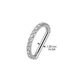 Titanium CZ D Shaped Hinged Segment Ring, Lip, Nostril, Cartilage