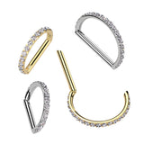 Titanium CZ D Shaped Hinged Segment Ring, Lip, Nostril, Cartilage