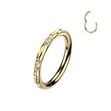 Titanium Hinged Segment Hoop Ring Facing CZ For Nose Cartilage