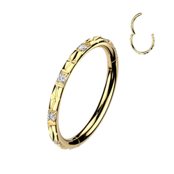 Titanium Hinged Segment Hoop Ring Facing CZ For Nose Cartilage