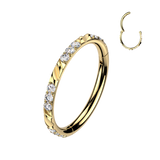 Titanium Hinged Segment Hoop Ring Facet Cut For Nose Cartilage