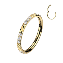 Titanium Hinged Segment Hoop Ring Facet Cut For Nose Cartilage