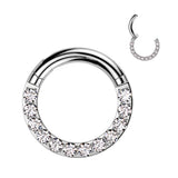 Titanium Large Gauge Hinged Segment Ring CZ For Ear Cartilage Plug