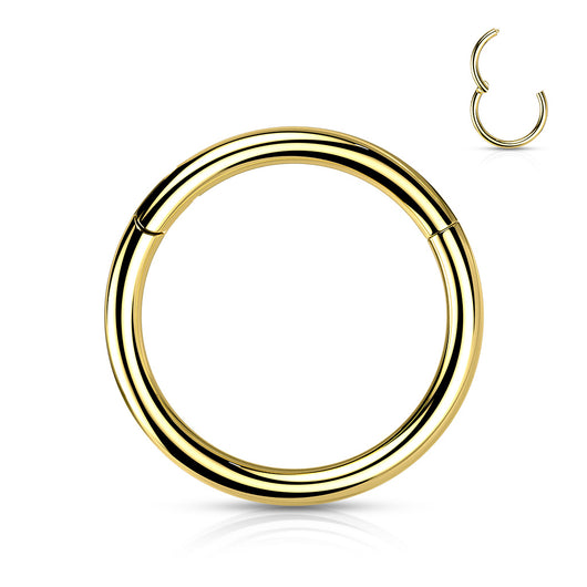 Titanium Hinged Segment Hoop Ring PVD Plated For Nose Septum Cartilage