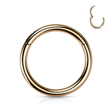 Implant Titanium Hinged Segment Hoop Rings Ear Cartilage 14G