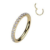 Titanium Hinged Segment Hoop Ring CZ 14G For Nose Septum Cartilage