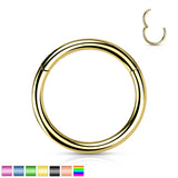 Implant Titanium Hinged Segment Hoop Rings Ear Cartilage 14G