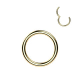 24kt Gold PVD Titanium Segment Hoop Ring Nose Septum Helix Lobe