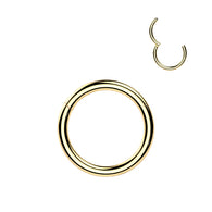 24kt Gold PVD Titanium Segment Hoop Ring Nose Septum Helix Lobe