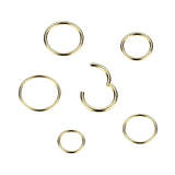 24kt Gold PVD Titanium Segment Hoop Ring Nose Septum Helix Lobe
