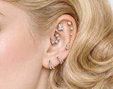 Titanium Hinged Segment Hoop Ring CZ And Balls For Nose Cartilage