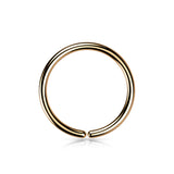 Implant Titanium Plain Seamless Hoop Rings