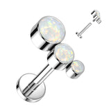 Implant Titanium Bezel Set 3 Opal Curved Top Lip Labret Ear Cartilage