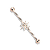Marquise CZ Snowflake 316L Surgical Steel Industrial Barbells