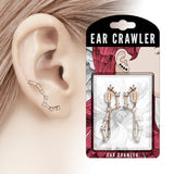 Pair of CZ Set Big Dipper Ear Crawler Ear Climber Earrings