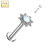 14K Solid Gold Internally Threaded Stud CZ Opal Tribal Sun Top Labret Tragus