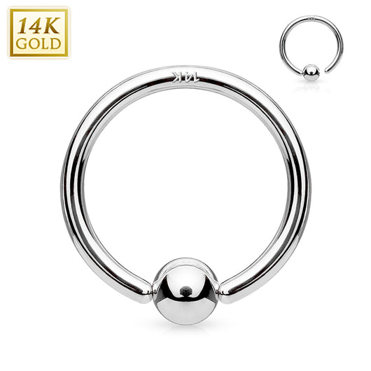 14K White Gold Fixed Ball Captive Hoop Ring