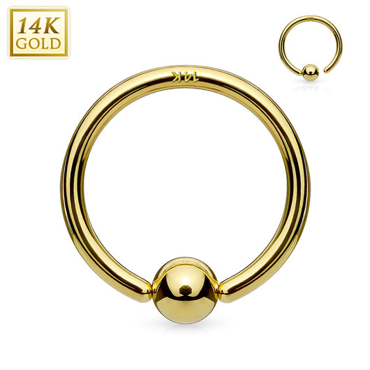 14K Solid Gold Fixed Ball Captive Hoop Ring