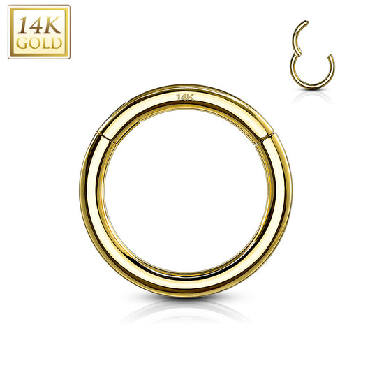 14Kt. Solid Yellow Gold Hinged Segment Hoop Ring For Cartilage Daith Helix
