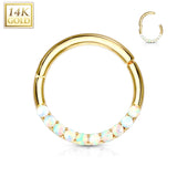 14Kt. Solid Gold Opal Lined Hinged Segment Hoop Ring For Septum, Daith