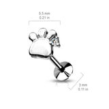 CZ Set Paw Threadless Top Labret Tragus Snug Ear Cartilage Helix Studs