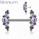 Pair Titanium Threadless Push in Nipple Barbell with CZ Cluster