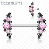 Pair Titanium Threadless Push in Nipple Barbell with CZ Cluster