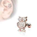 Owl Top CZ Ear Cartilage Daith Helix Tragus Barbell Stud