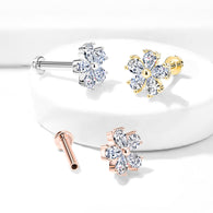 Five Pear CZ Paved Flower Internally Threaded Labret Tragus Snug Ear Cartilage Studs