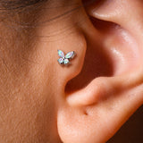 CZ Butterfly Top Lip Labret Monroe Ear Cartilage Tragus