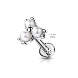 Pearl Prong Set Top Lip Labret Monroe Ear Cartilage Tragus